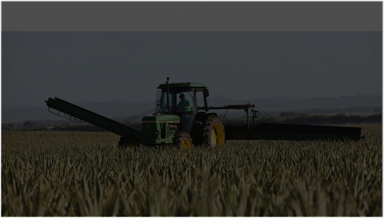 Tecnologia e educação: trazendo força ao agronegócio