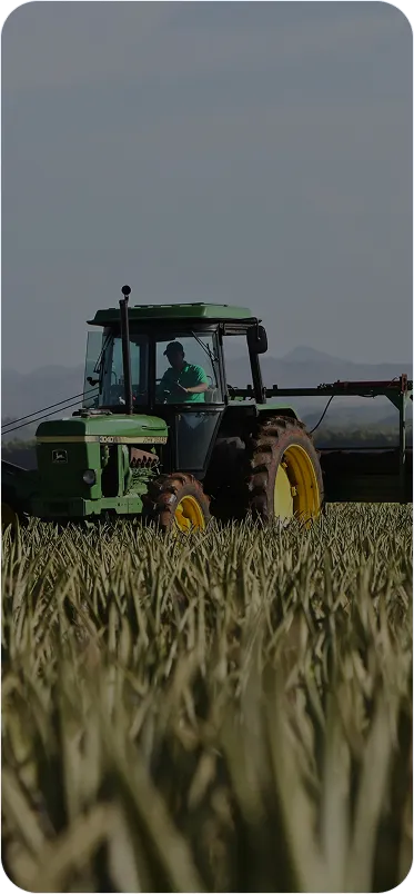 Tecnologia e educação